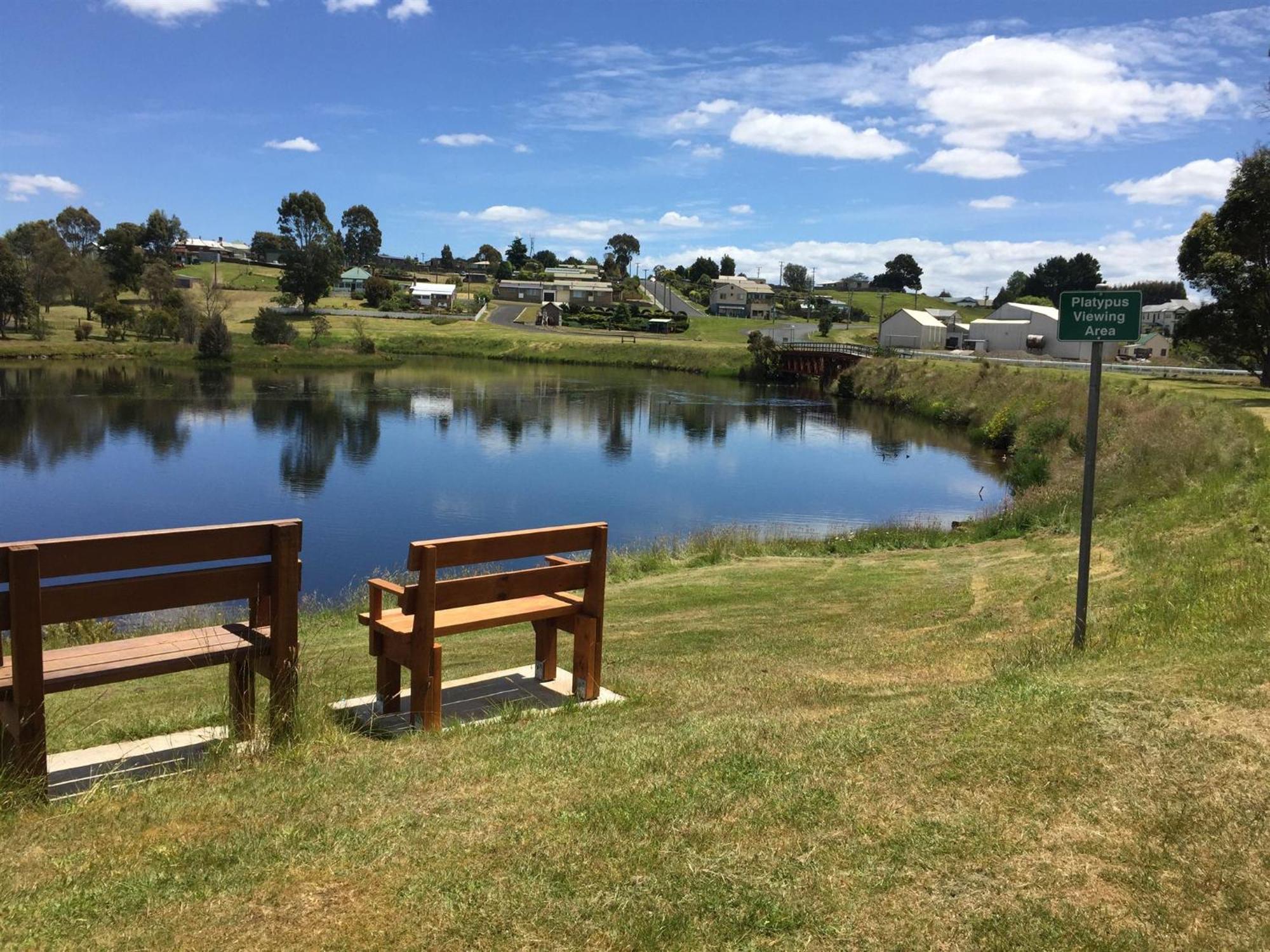 Waratah Waterfall Retreat Unit 1 Free Pay Tv In Two Rooms Free Wifi Extérieur photo